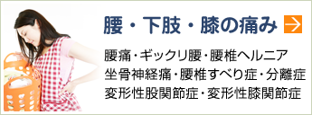 腰・下肢・膝の痛み