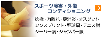 スポーツ障害・外傷・コンディショニング